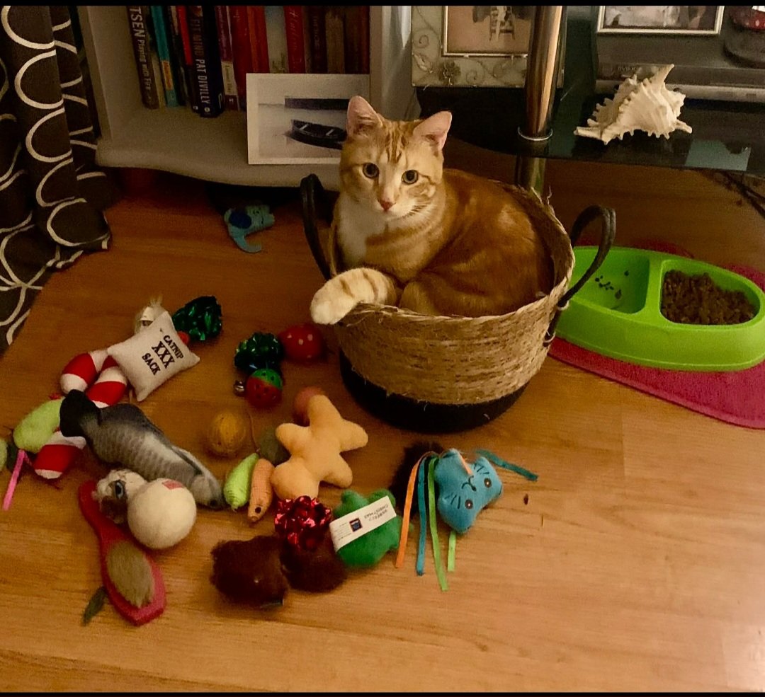 Catríona Lowry tweet media