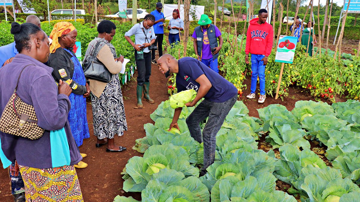 STAKenya's tweet photo. So many inspiring stories from the Meru Field Day! 🌟 Farmers, exhibitors, and partners showing the power of collaboration. @AFSTA_Seed @CropLifeKenya @amiran_kenya @cerealgrowerske https://t.co/NShpKfxjBt