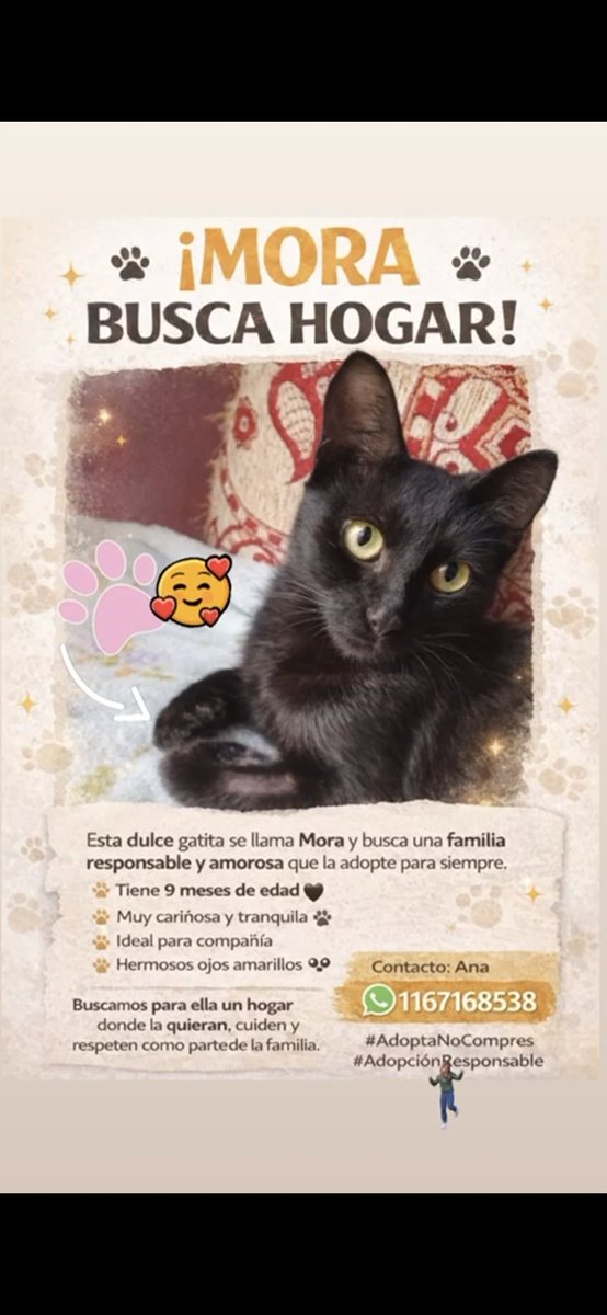 Laly 🇦🇷 tweet media