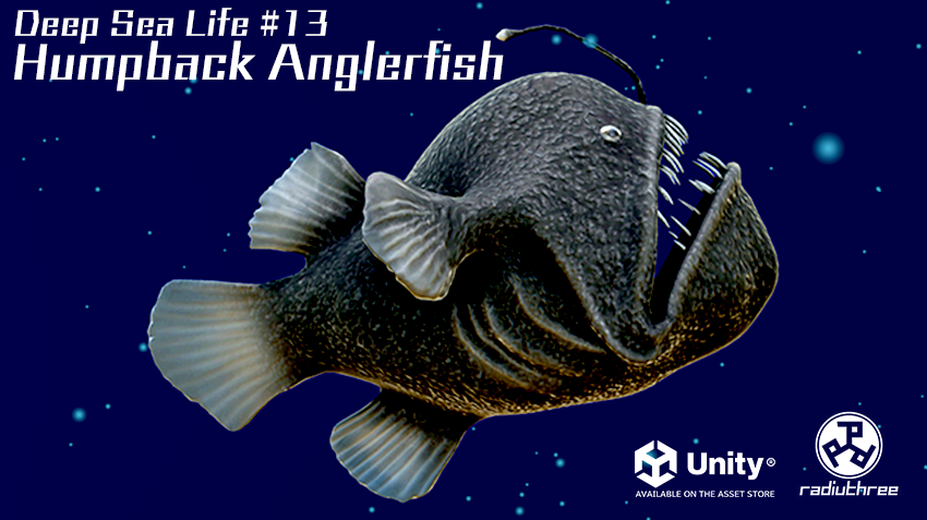 ラディアスリー tweet media