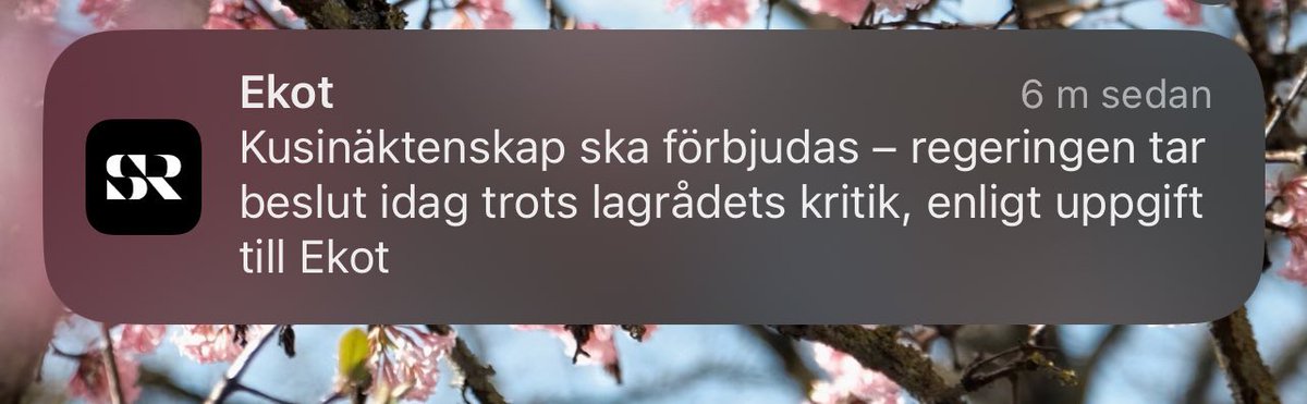 Langenbrunner tweet media