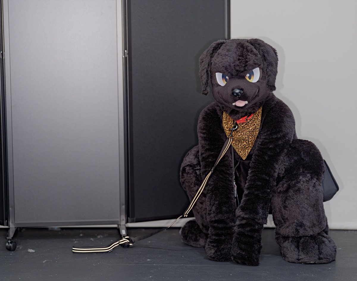 タク📸 tweet media