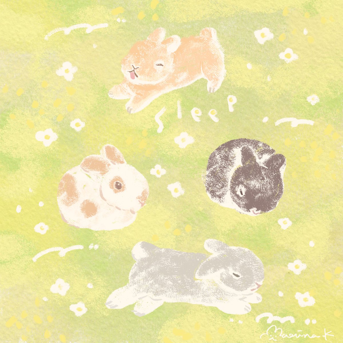 かわむらまりな tweet media