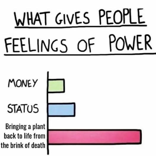 UrbanFarming tweet media