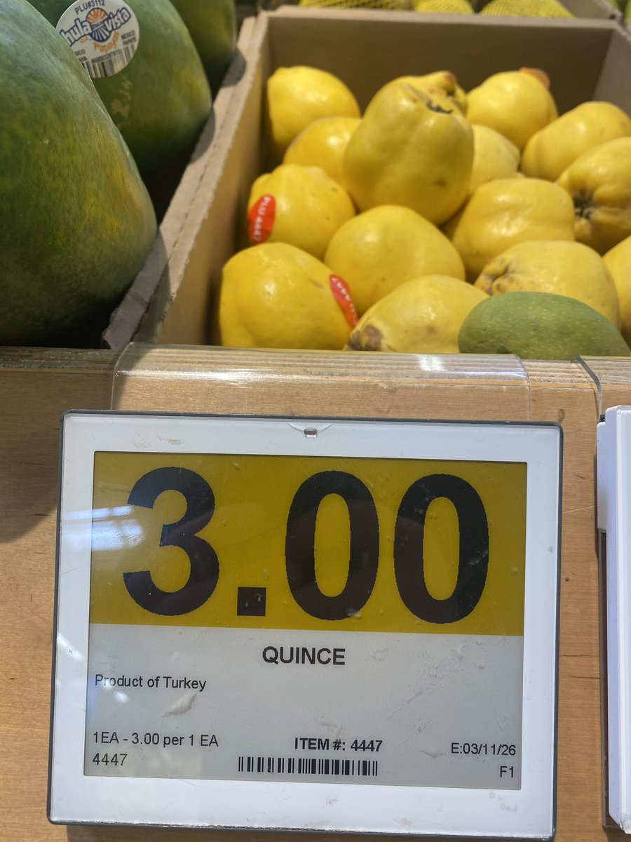 Umut Oğuzoğlu tweet media