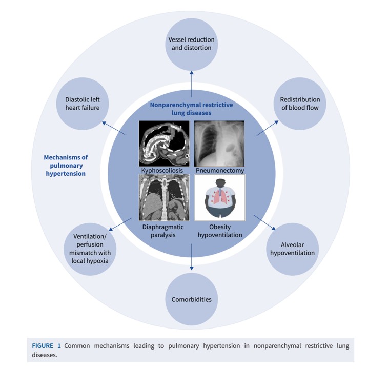 Montani David tweet media