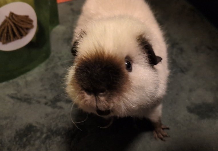 ann(ﾓﾙﾓﾙ) tweet media