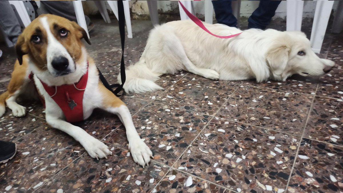 כשנותנים למתבגרת לשמור על האחות הקטנה במקלט