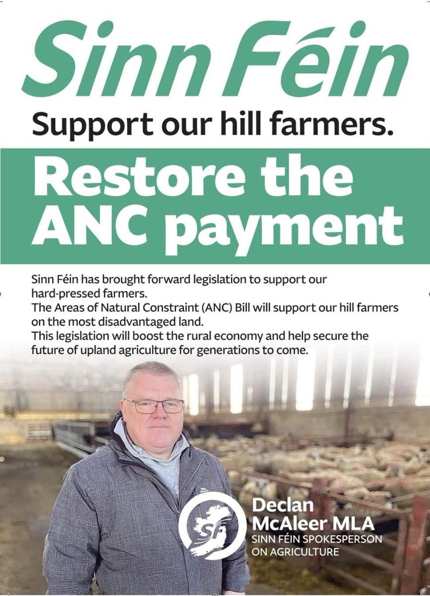 Órfhlaith Begley tweet media