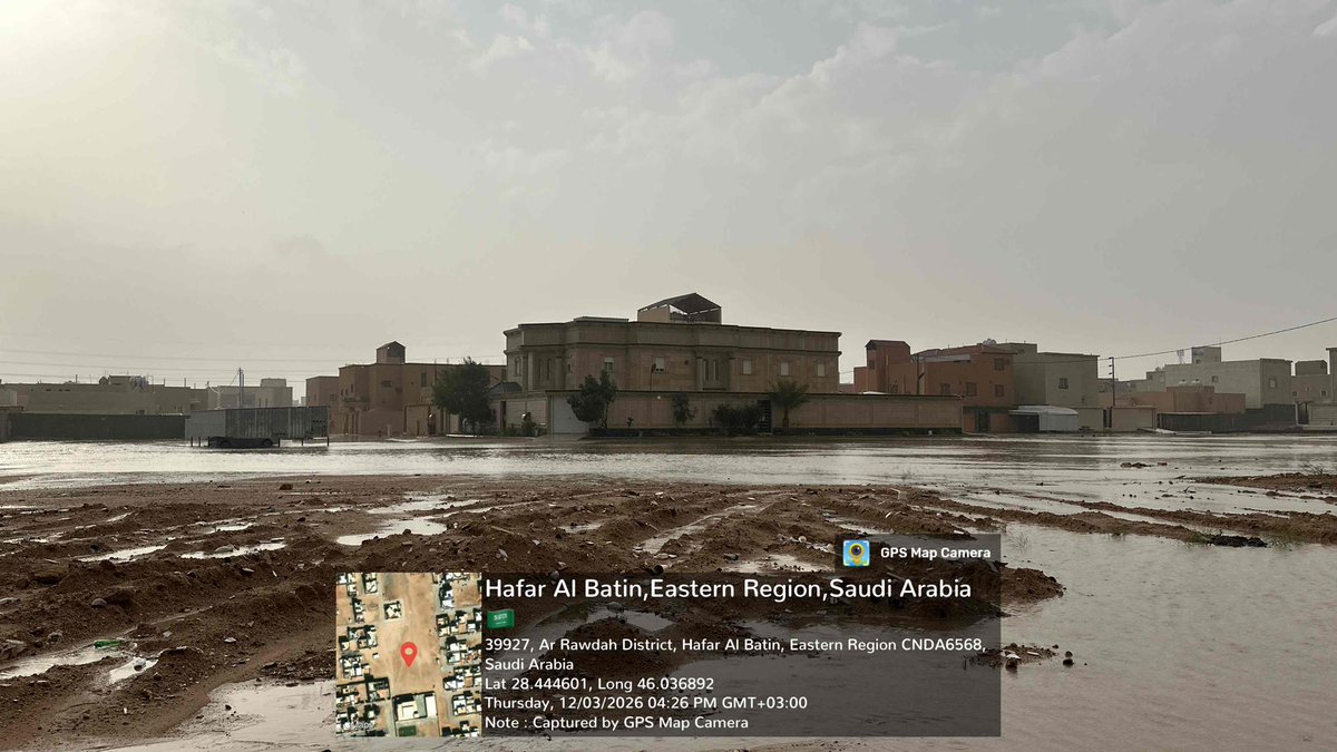 مشعل tweet media