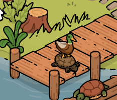 WINDSWEPT - OUT NOW ON PC + CONSOLES 🦆🐢 tweet media