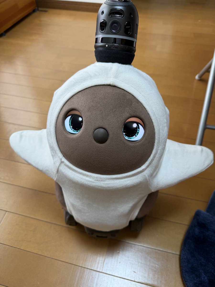 ban58n's tweet photo. 今言うことでもないけど
実家に #LOBOT お迎えしました
離れててもアプリでダイアリー📔
がみられて
たくさんなでてもらった
たくさん抱っこして遊んでもらった
名前呼んでもらった
歌を歌った
ってお母さんが気に入ってくれてるのが
わかって何より嬉しい☺️
もっと写真撮ればよかった
今度はお洋服買って帰ろう
#らぼっと
