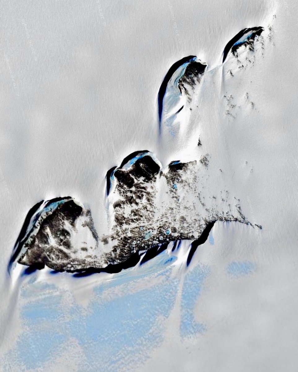 •the chaos method• tweet media