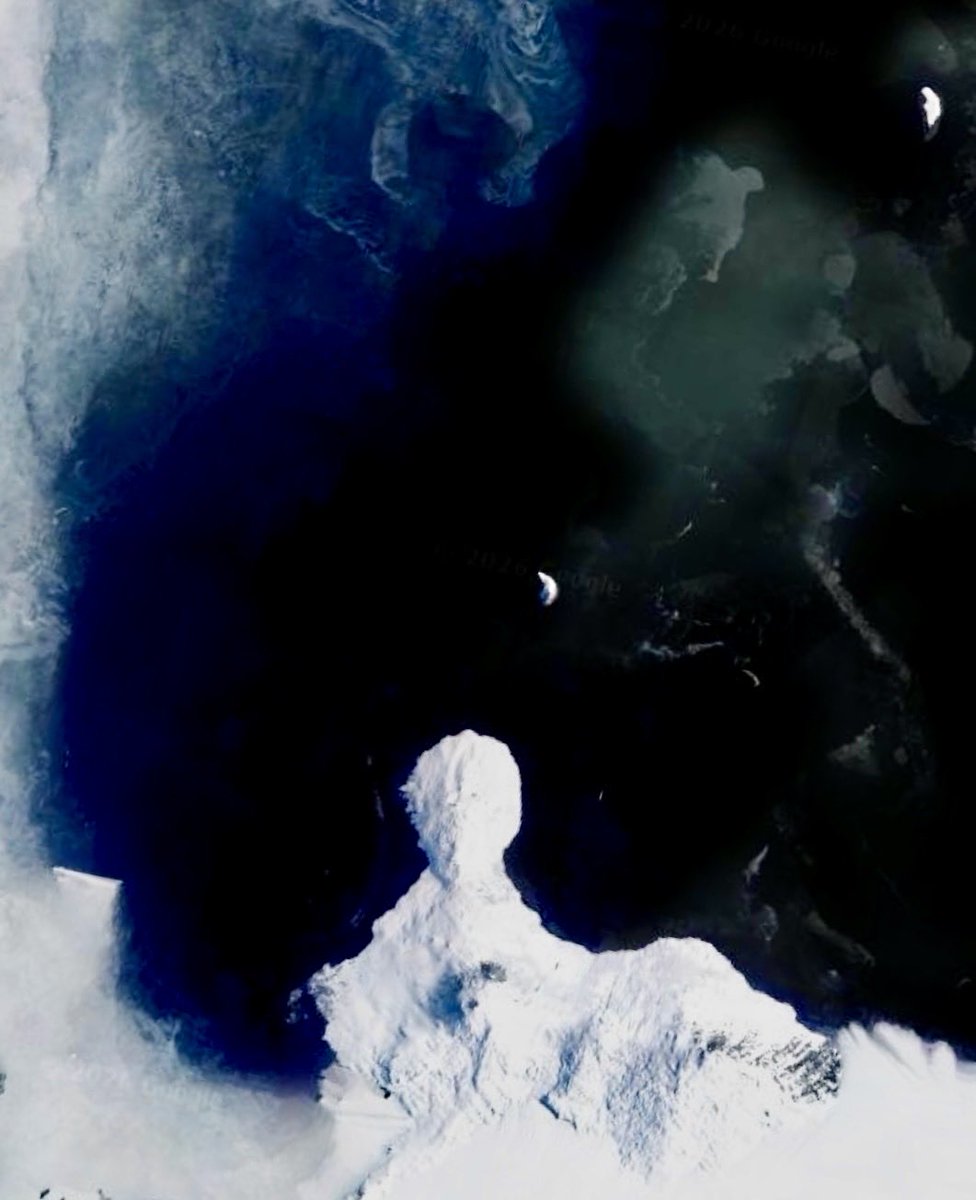 •the chaos method• tweet media