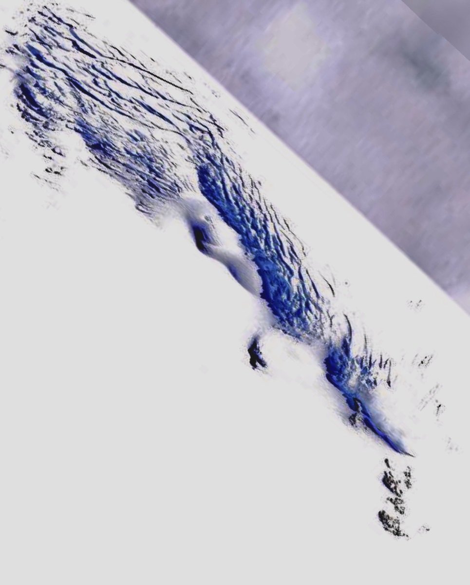 •the chaos method• tweet media