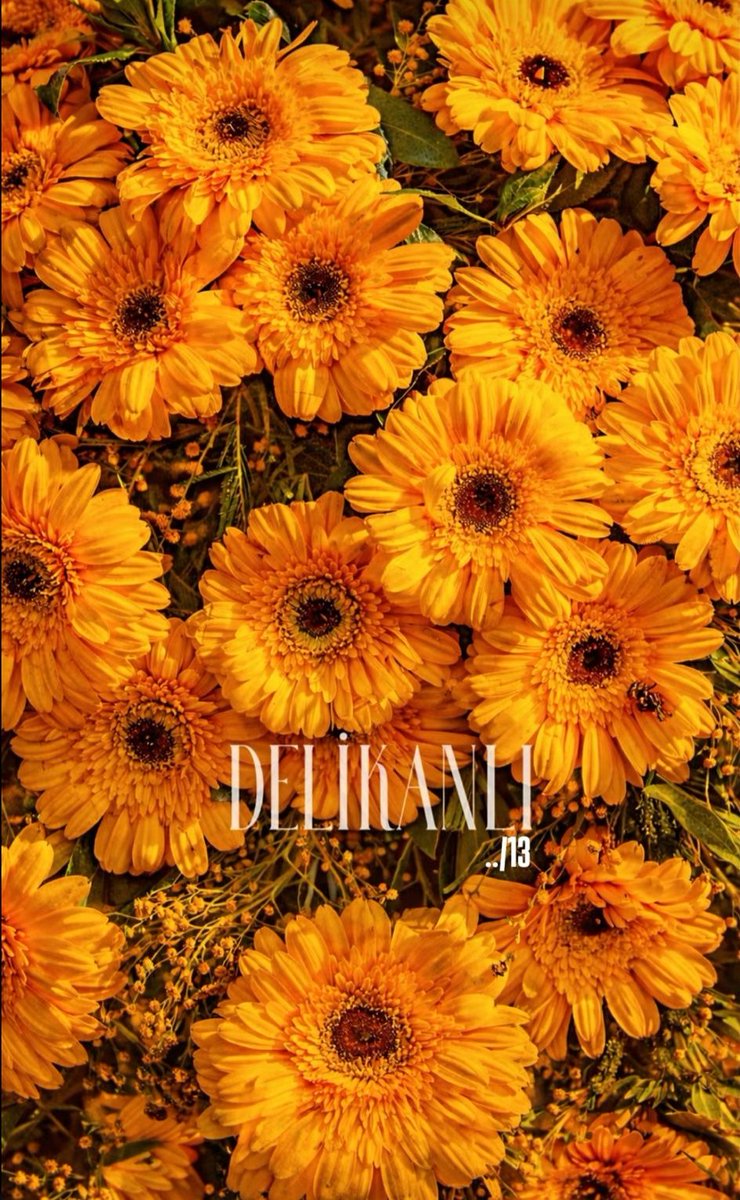 Sanat ekibimiz şahane🧿
YUSUF'umuza kavuşmaya bir adım daha yaklaştık🫠
En güzel zamanda gel Başarı Şans hep seninle olsun Güzel Kalpli RAMOM😍

#MertRamazanDemir
MertRamazanDemir