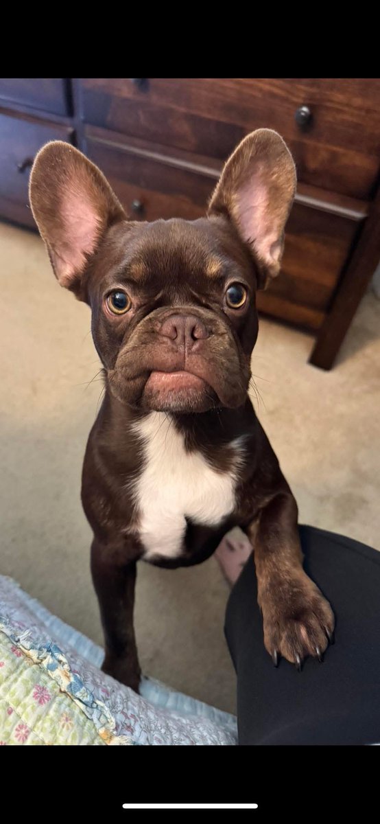 Annie Kenealy tweet media