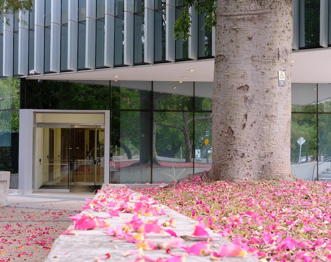 Daniel Carando tweet media