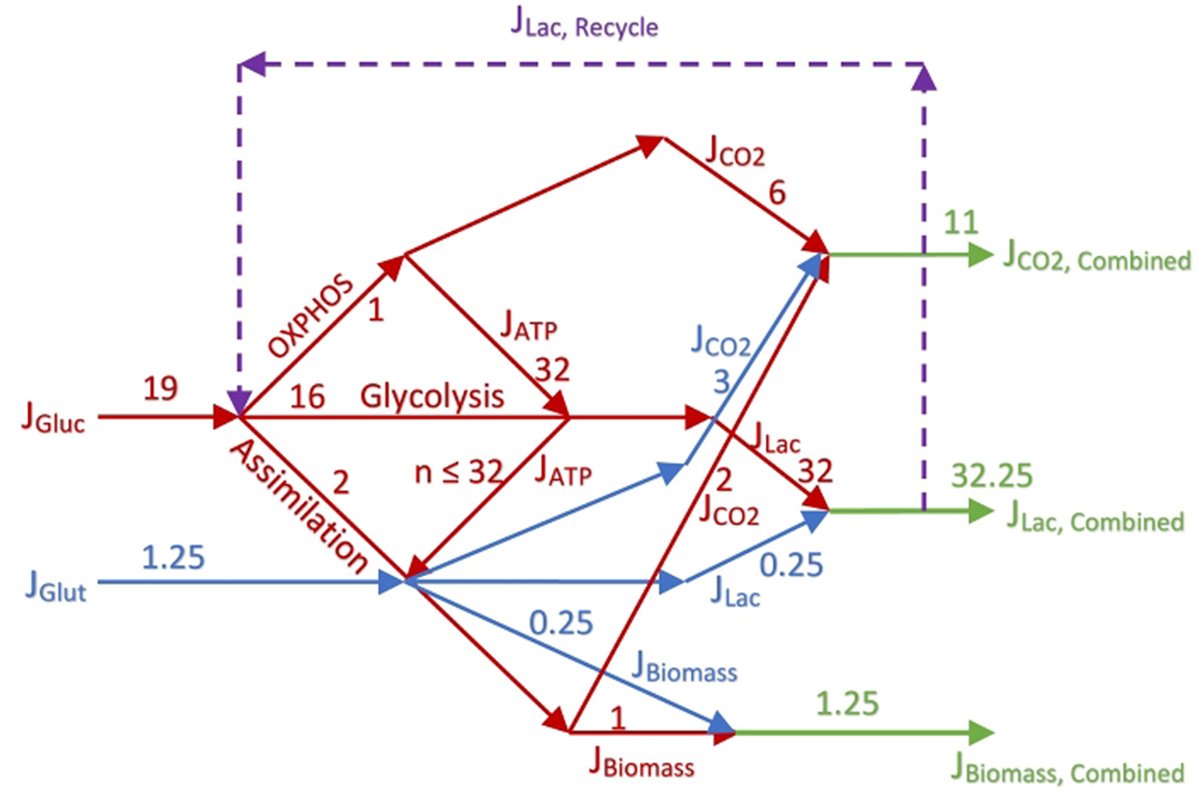 Function tweet media