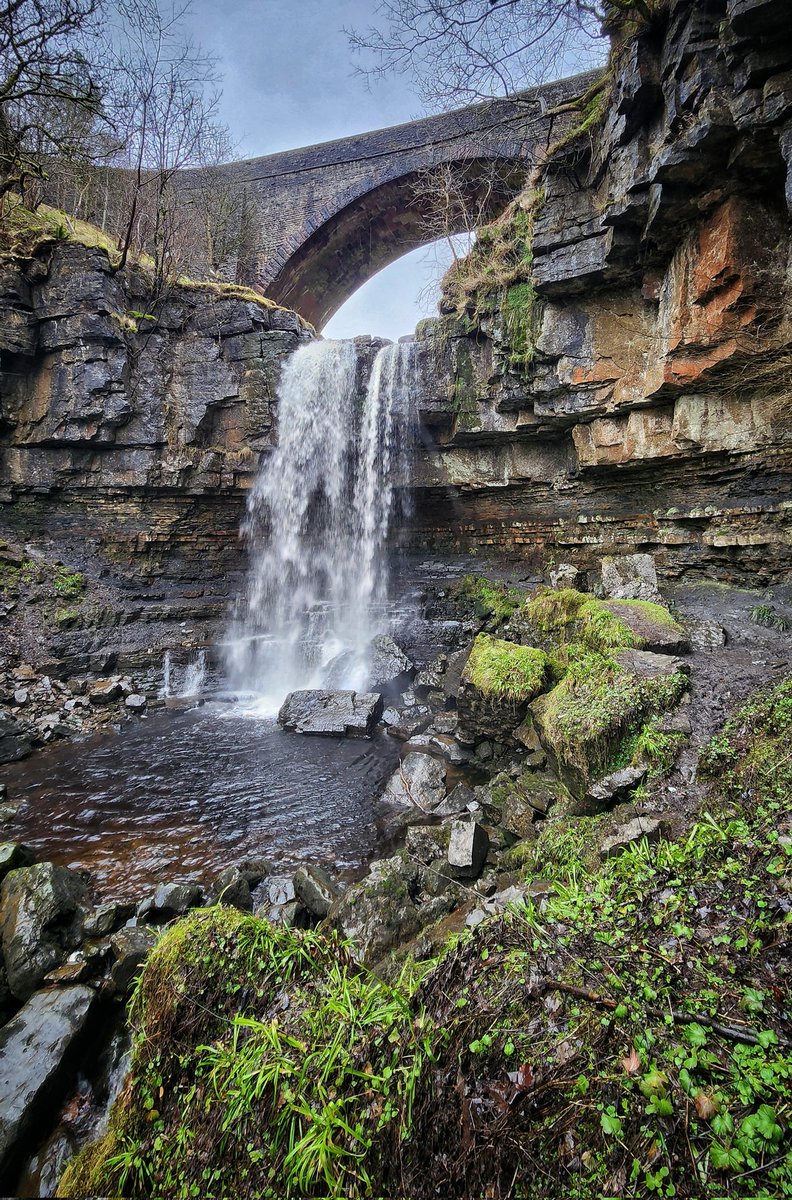 Robbledo tweet media