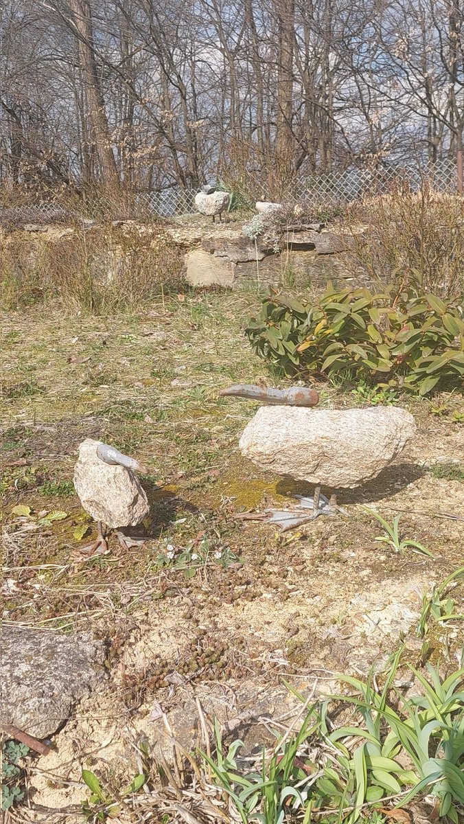 Rakija Queen tweet media