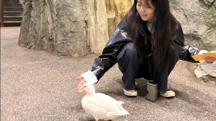 𝑮𝒆𝒎𝒎𝒂 tweet media