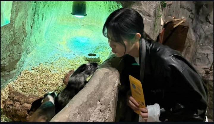 𝑮𝒆𝒎𝒎𝒂 tweet media