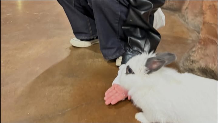 𝑮𝒆𝒎𝒎𝒂 tweet media