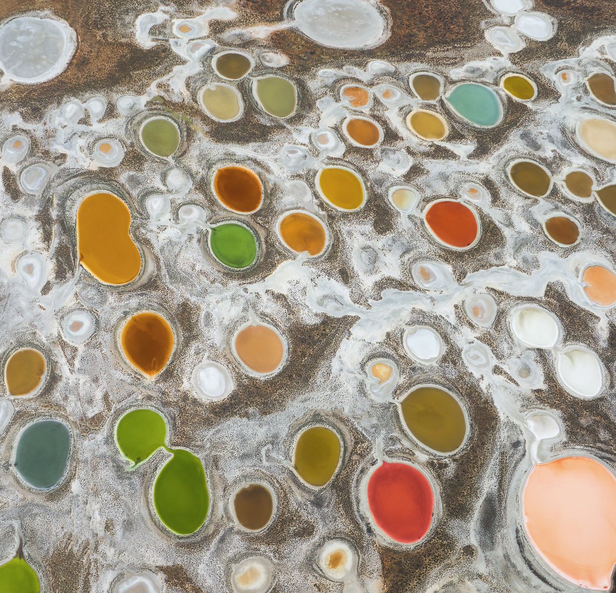 Rakesh Pulapa tweet media