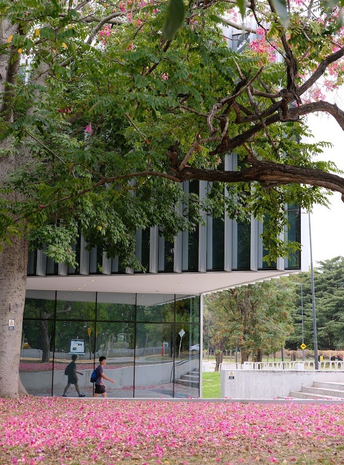 Daniel Carando tweet media