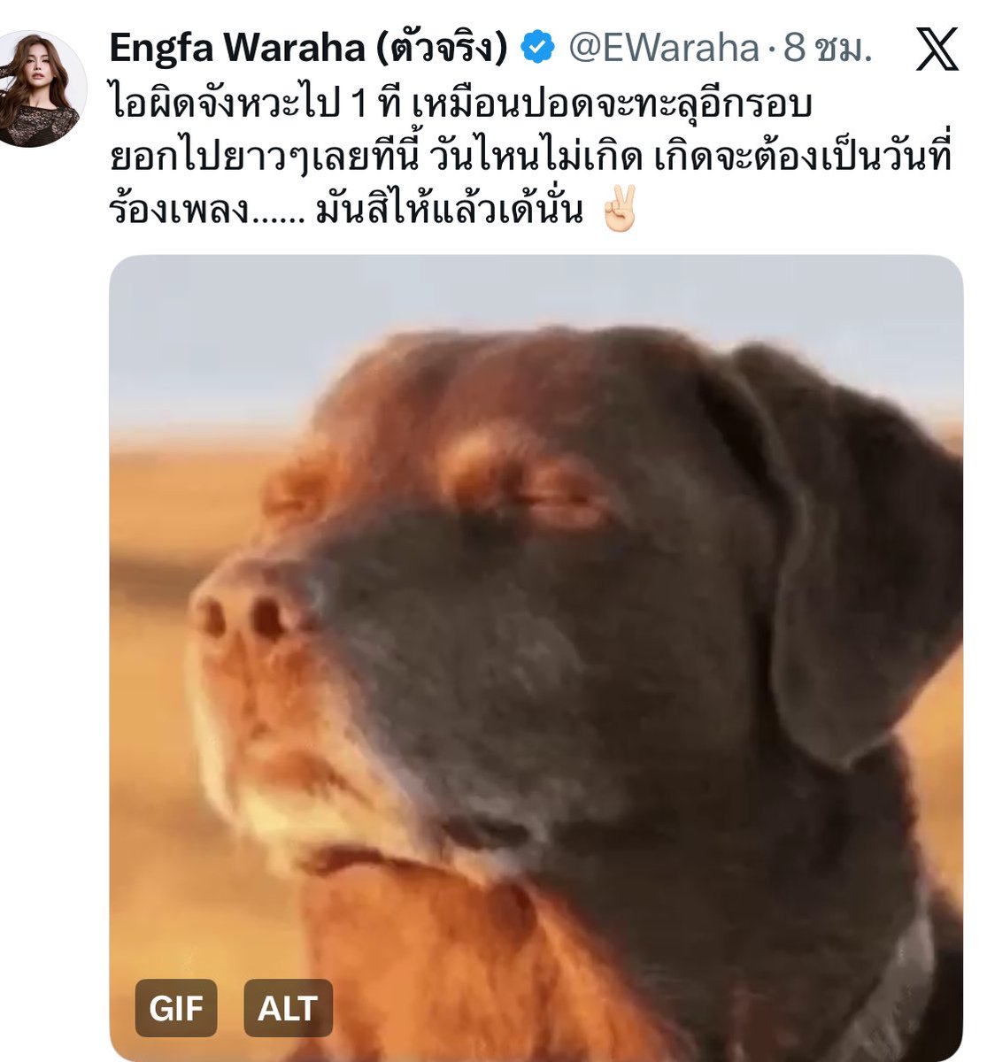 aomm🌈 tweet media