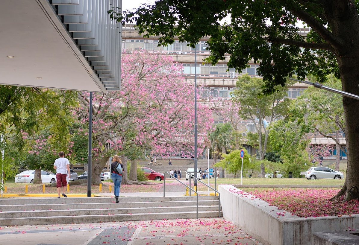 Daniel Carando tweet media