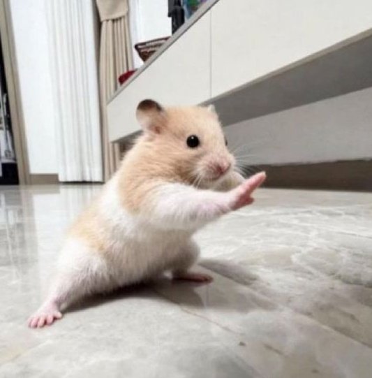 hamjin bot tweet media