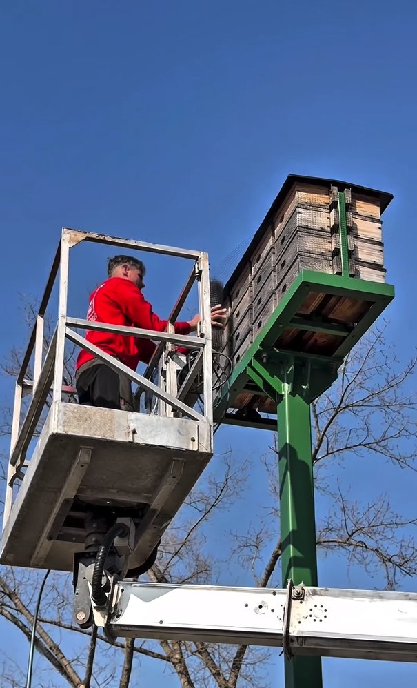Miasto_Lublin's tweet photo. Wiosenne porządki ruszyły także w domkach dla jerzyków 🧹🐦 Aktualnie sprawdzamy konstrukcje budek, sprzątamy i zabezpieczamy wloty przed przybyciem innych ptaków. Pod koniec kwietnia domki przy ul. Krochmalnej i Lwowskiej będą gotowe na przybycie jerzyków💙
#Lublin #Jerzyk #Ptak https://t.co/DvSkQGO41i