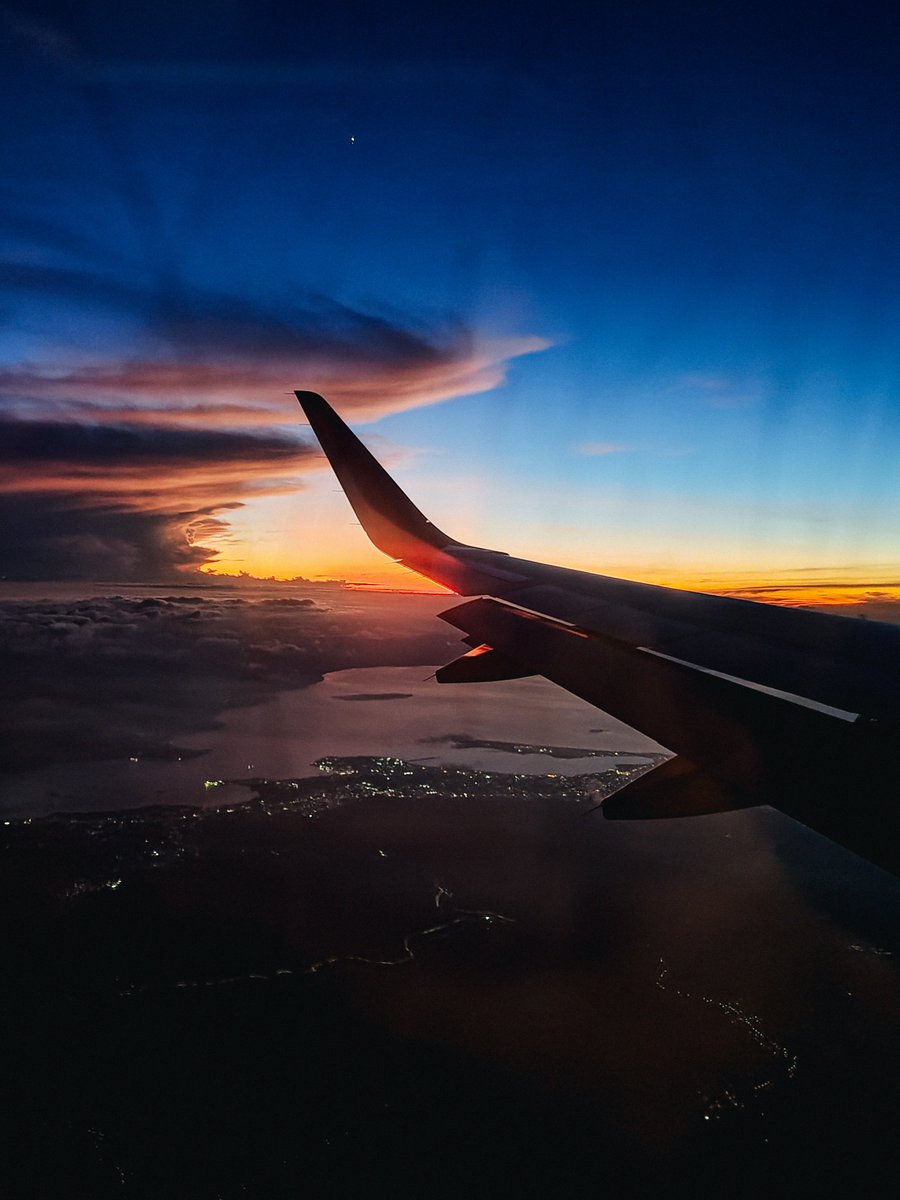 hellobloom tweet media