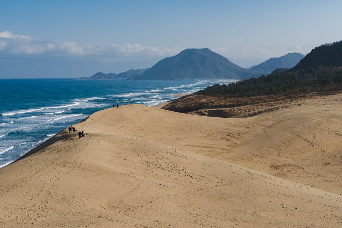 Ichiban Japan tweet media