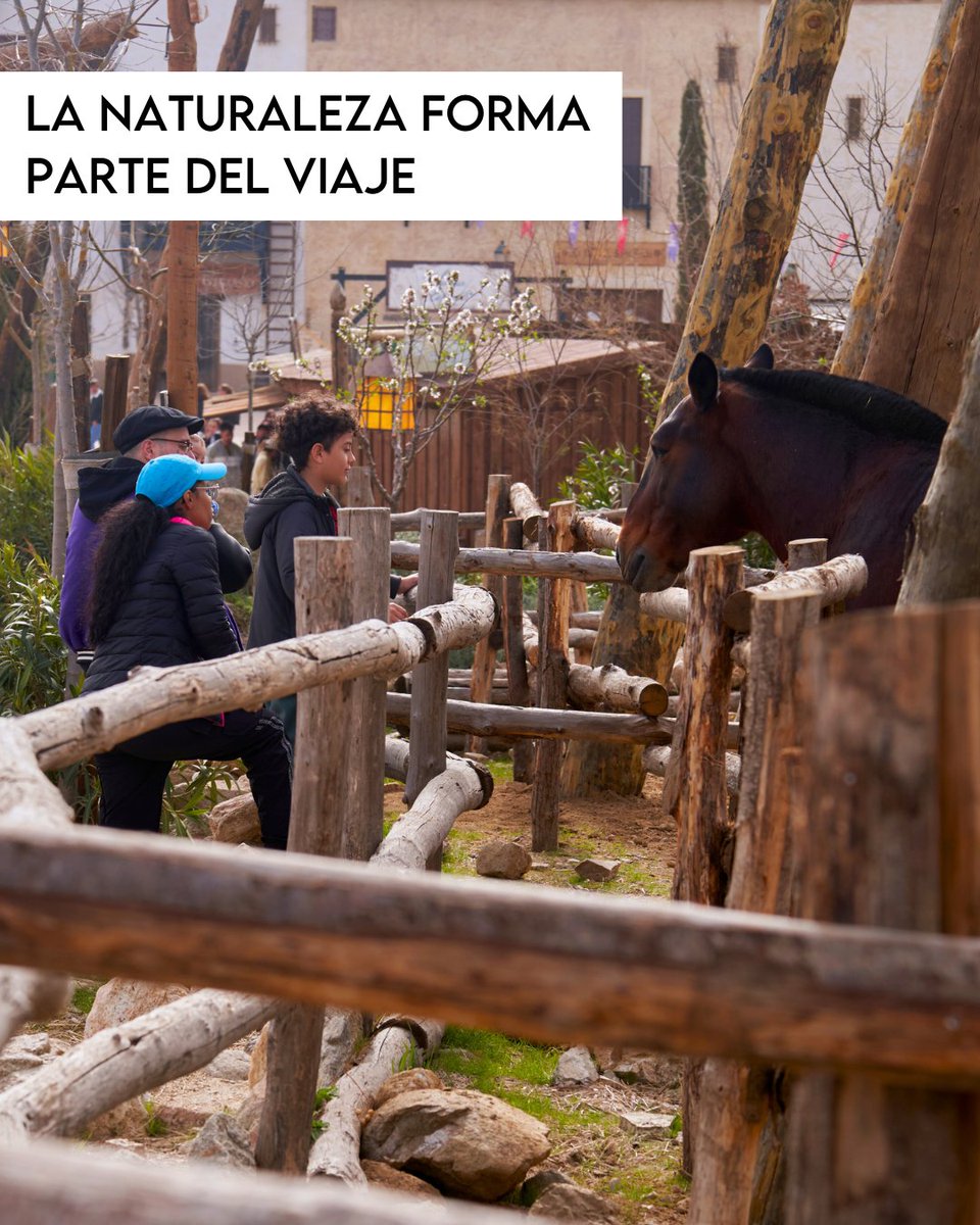 PuyduFou_espana's tweet photo. Así vivimos el inicio de la nueva temporada en #PuyduFouEspaña 🏰⚔️
Visitantes recorriendo el Parque, música en La Puebla Real, naturaleza, nuevos rincones por descubrir y un ambiente único 🐴🌿
La Historia te llama, ¿Nos acompañas?
#LaHistoriaTeLlama #LaLlamada #nuevatemporada https://t.co/srTQfHB7Rk