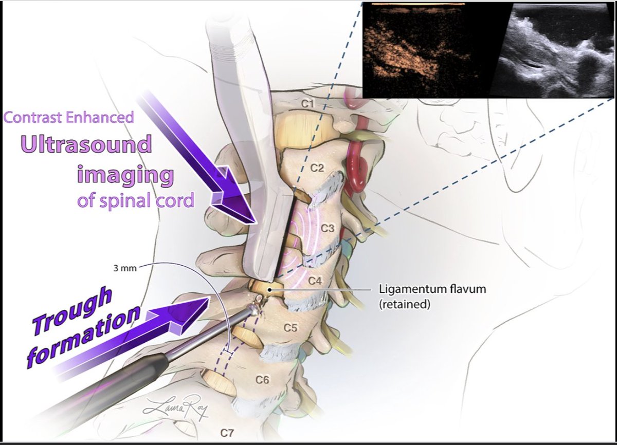 Neurosurgery Publications tweet media