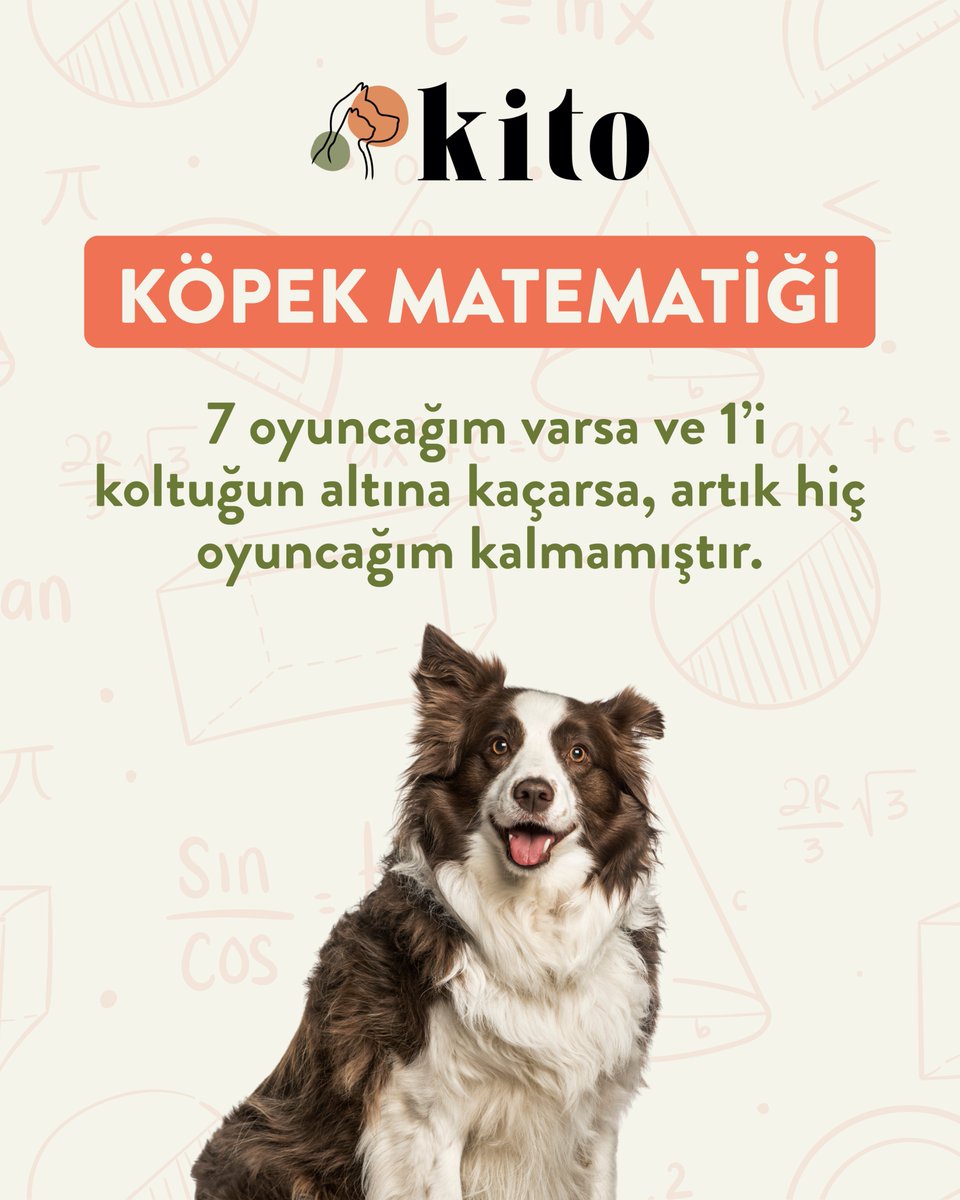 Kito_Pet_Food's tweet image. Senin patili dostunun “matematik anlayışı” da böyle mi? 😄🐶

#kito #kitopet #ciftligimizdensevdiklerinize #keşfet #fypシ゚viral #viralpost #trend