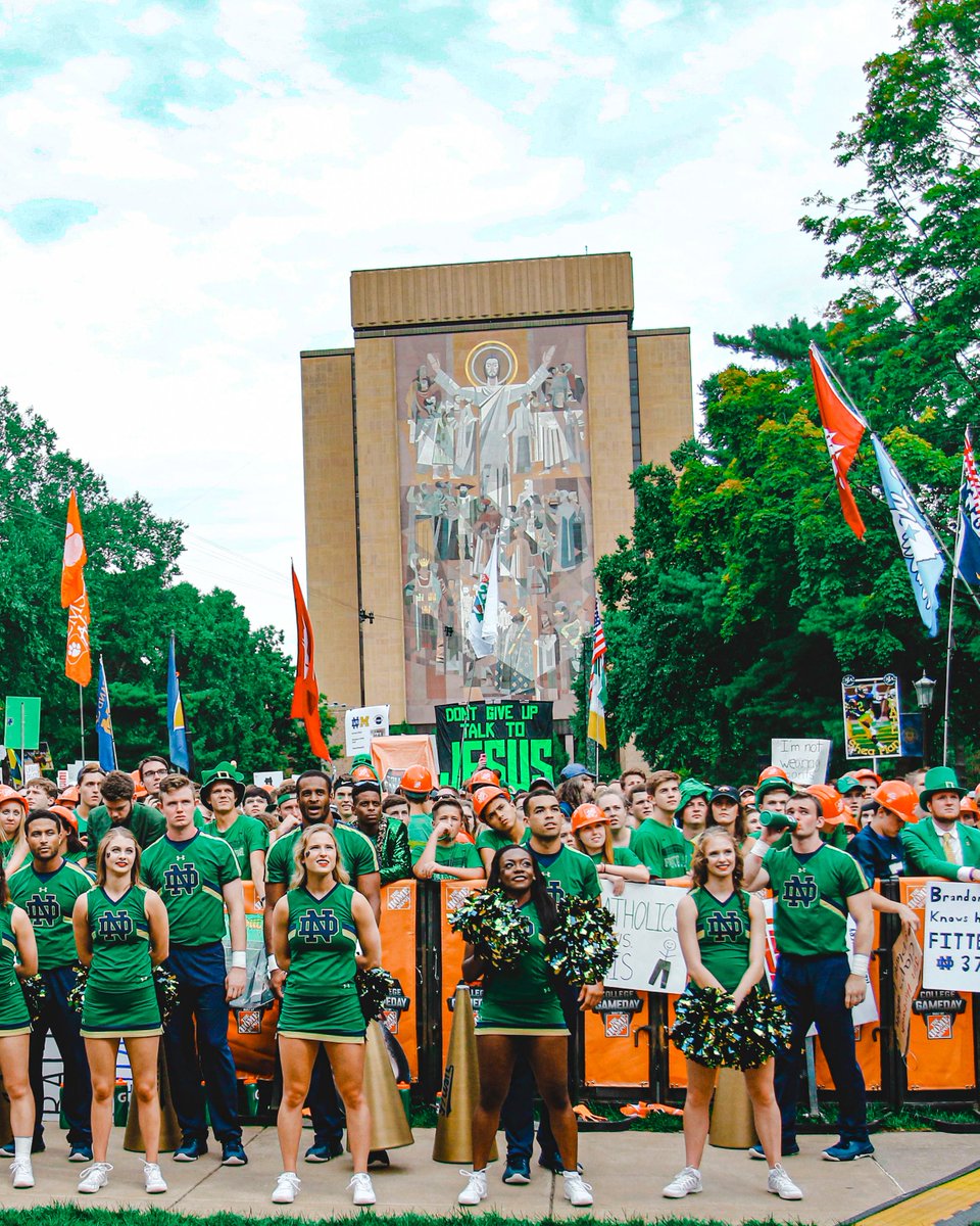 Matt Freeman tweet media