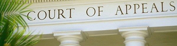 AKA @TheBlackBerryGuy - Gerald Lippert tweet media