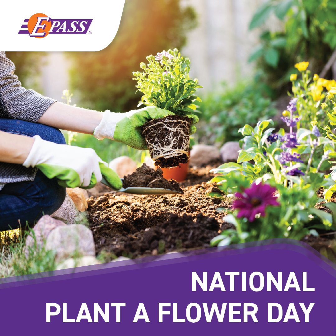 Drive E-PASS tweet media