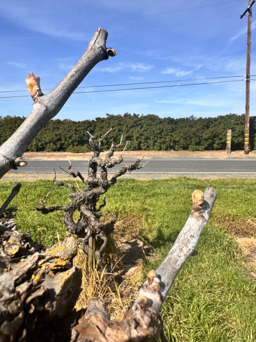 Jose Hernandez tweet media