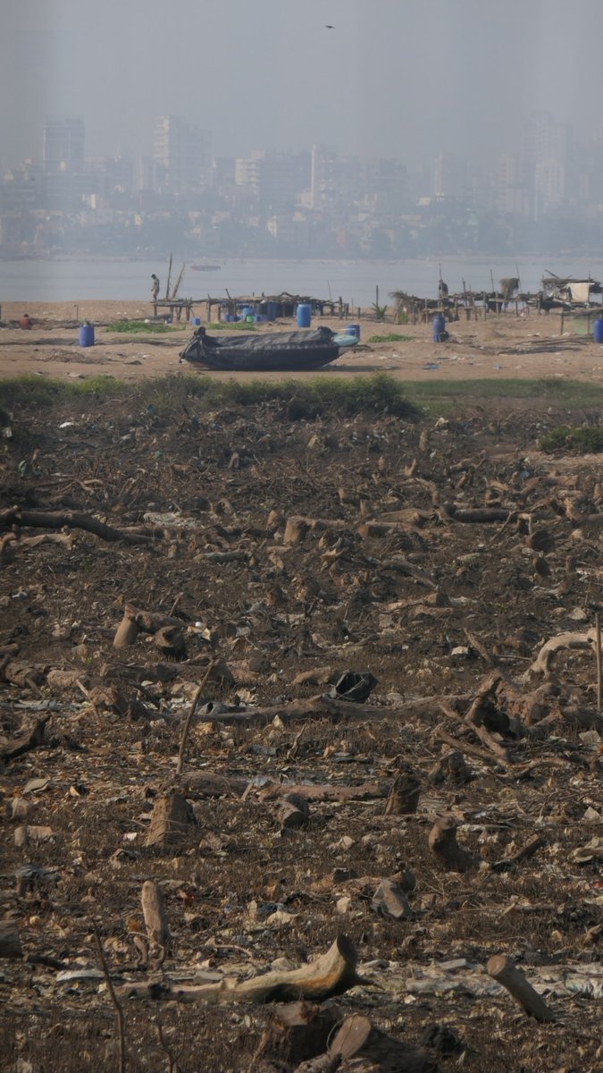 Subuhi Jiwani tweet media