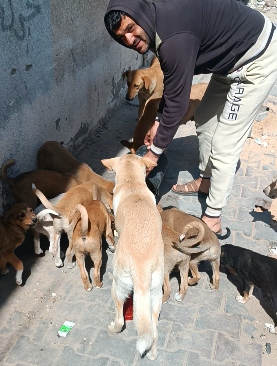 🐾Animal lover Gaza🇵🇸 tweet media