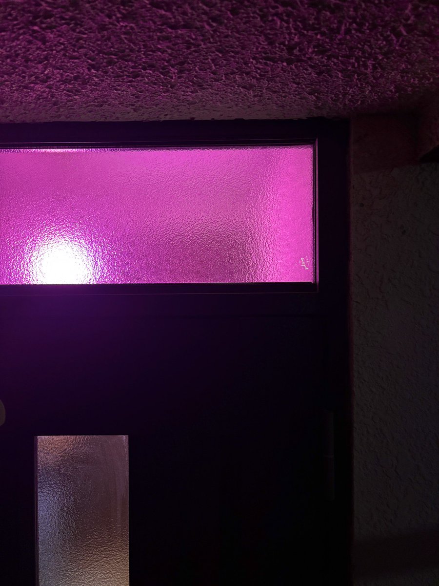 さゆたこ tweet media