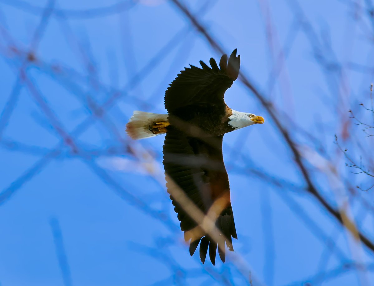 🔞 yuku• dokomi 2026(18+hall ) tweet media