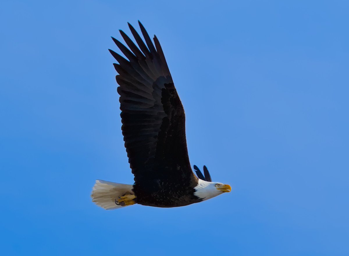 🔞 yuku• dokomi 2026(18+hall ) tweet media