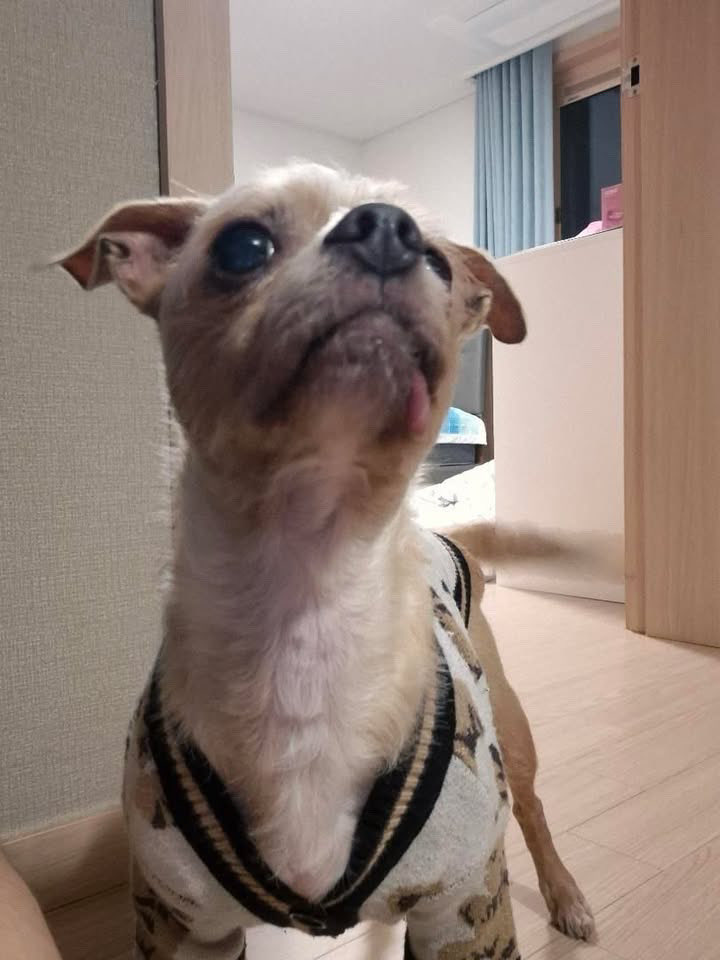 your bae tweet media