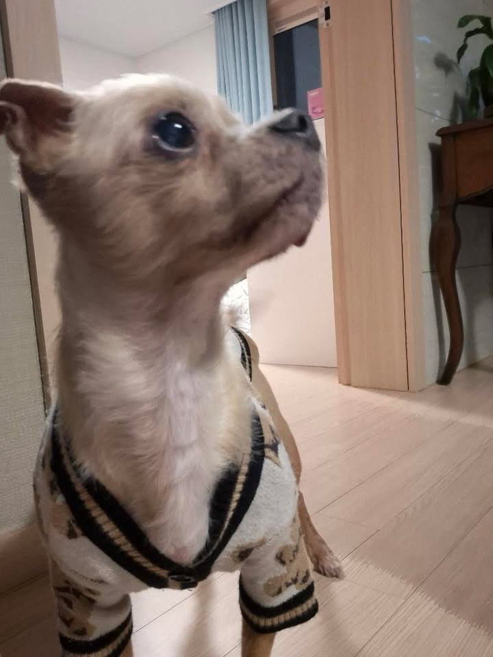 your bae tweet media